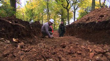 Sous les arbres, les racines de Rouen