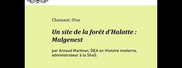 Un site de la forêt d'Halatte : Malgenest