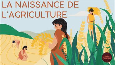 L'agriculture néolithique à la loupe