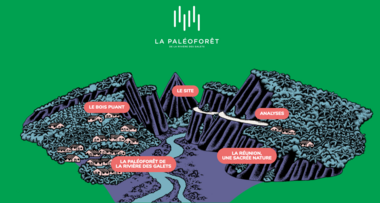 Web-documentaire de la paléoforêt