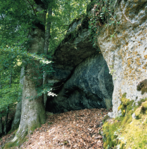 Porche de la grotte de Cotencher