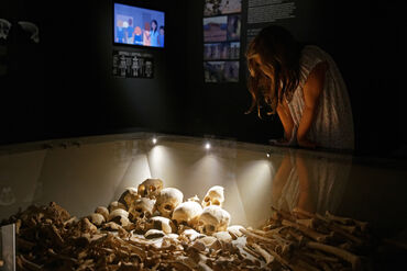 Visite guidée du musée