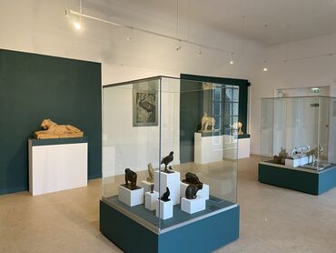 Salle d'art animalier