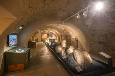 Salle des rochers des Vaulx