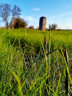 Paesaggio delle Serre Salentine con menhir