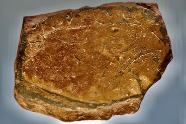 Placa paleolítica decorada, Vale de Boi, 25.000 anos