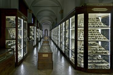 Collezione G. Chierici di Paletnologia