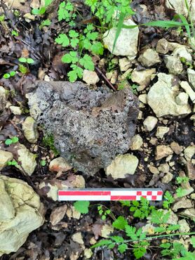 Evidenze archeologiche nella Riserva