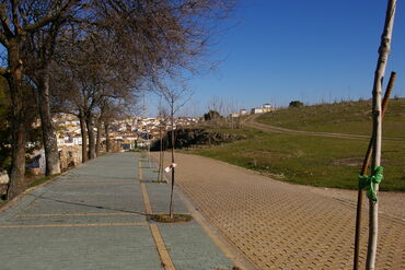 Cerro del Alcázar