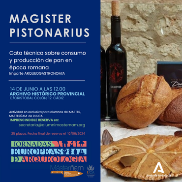 26689_vignette_11-CataMagister-pictonarius.Archivo.png