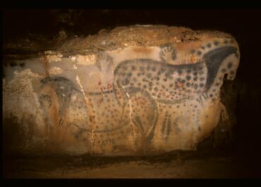 Panneau des chevaux ponctués (grotte du Pech Merle)