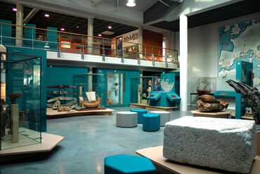 Grande salle des collections archéologiques
