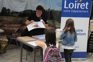 Activité archéozoologie