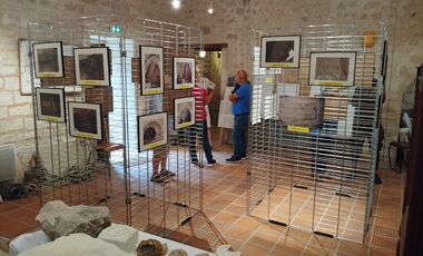 Exposition de photographies de l'Atelier archéologie