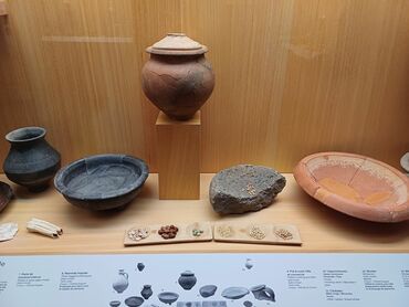 Vitrine alimentation époque romaine