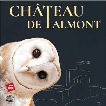 Visuel château 2025