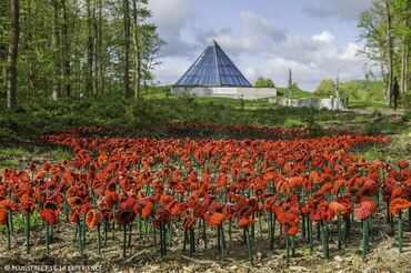 28396_vignette_par-terre-poppy-pyramide.jpg