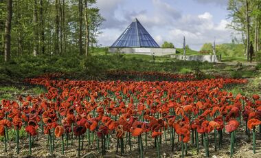 28396_vignette_par-terre-poppy-pyramide.jpg