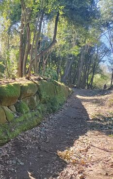 Tagliata di Monte Antenne
