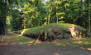 28597_vignette_wietrzychowice.jpg