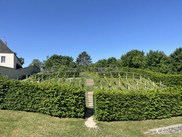 Jardin de Renée de France