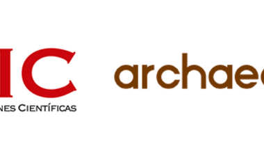 Archaeology Hub