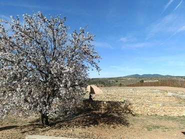 Vista parcial del barrio ibérico