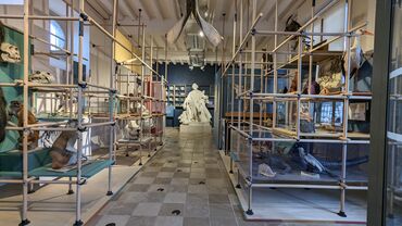 Musée Buffon