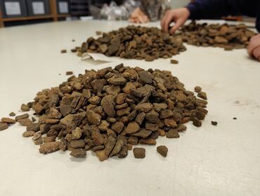 Etude de la céramique protohistorique découverte en fouille depuis le XIXe siècle