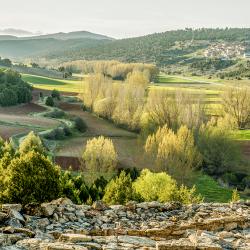 El Ceremeño. Paisaje