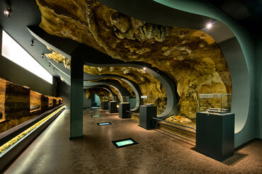Sala La vida en las cuevas