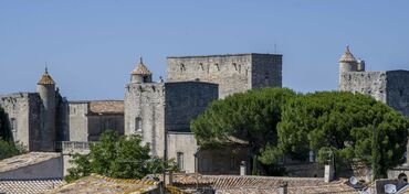 LE CHATEAU DE VILLEVIEILLE