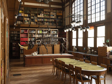 La bibliothèque de l'IPH