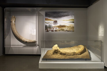 Exposition  Dans la Seine 