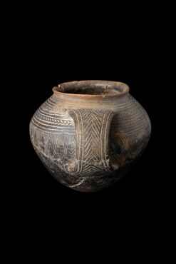 Exposition temporaire - vase campaniforme