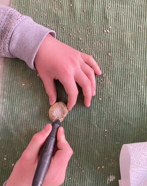 Décapage d'une ammonite