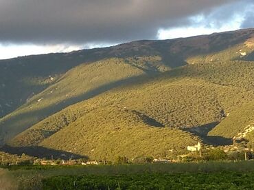 Le village et l'oppidum