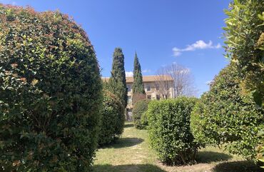 Jardin du Depot de Fouilles Mailhac