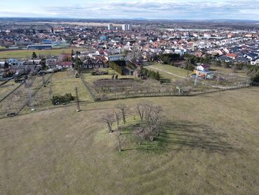 Šibenica Holíč